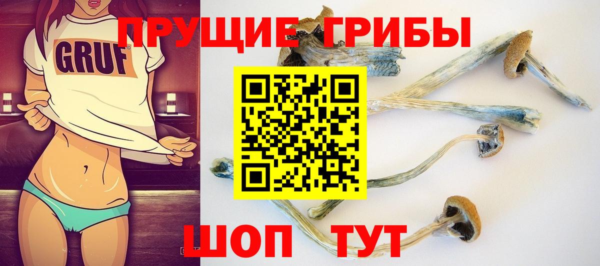 Кубинка  Галлюциногенные грибы GOLDEN TEACHER  Вход с VPN 