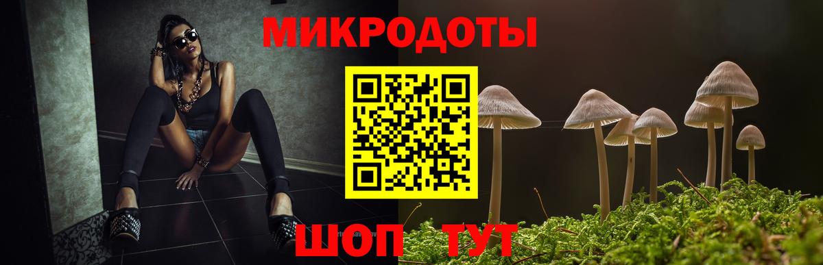 Псилоцибиновые грибы Psilocybine cubensis Кубинка